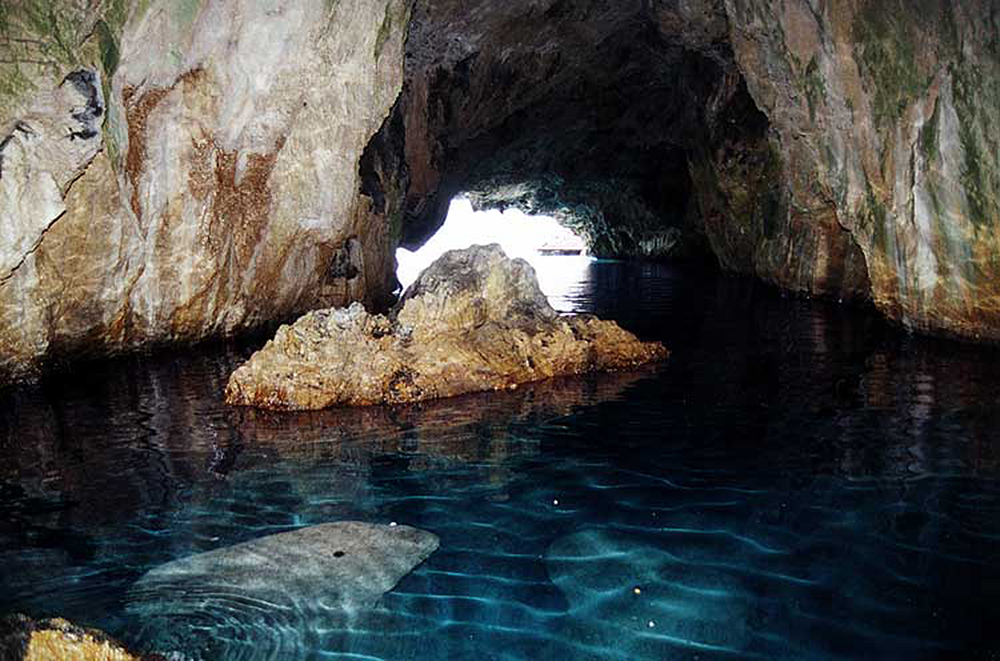 Grotta Del Leone Praia A Mare
